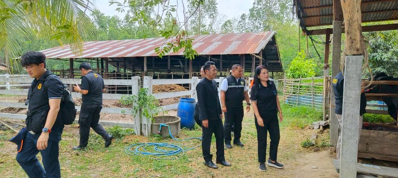 title - เลขาธิการ ส.ป.ก. ตรวจเยี่ยม ส.ป.ก.ยโสธร และลงพื้นที่ตรวจเยี่ยมกลุ่มวิสาหกิจชุมชนโคขุนหนองแหน และศูนย์ต้นแบบเกษตรทฤษฎีใหม่ในเขตปฏิรูปที่ดิน (นายสุริยา  หงษ์ลอยวงษ์) จังหวัดยโสธร